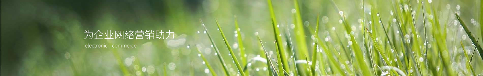 ¹صһ޹˾